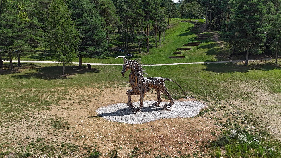 La nuova Aquila Vaia di Marcesina in Trentino. Scopri come Arrivare e Dove Parcheggiare