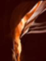 ree