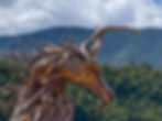 La nuova Aquila Vaia di Marcesina in Trentino. Scopri come Arrivare e Dove Parcheggiare