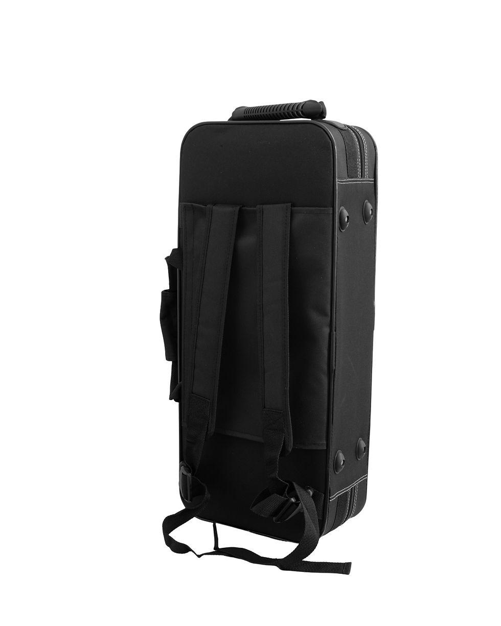 Thumbnail: SL A-802CO Student Alto Saxophone Case