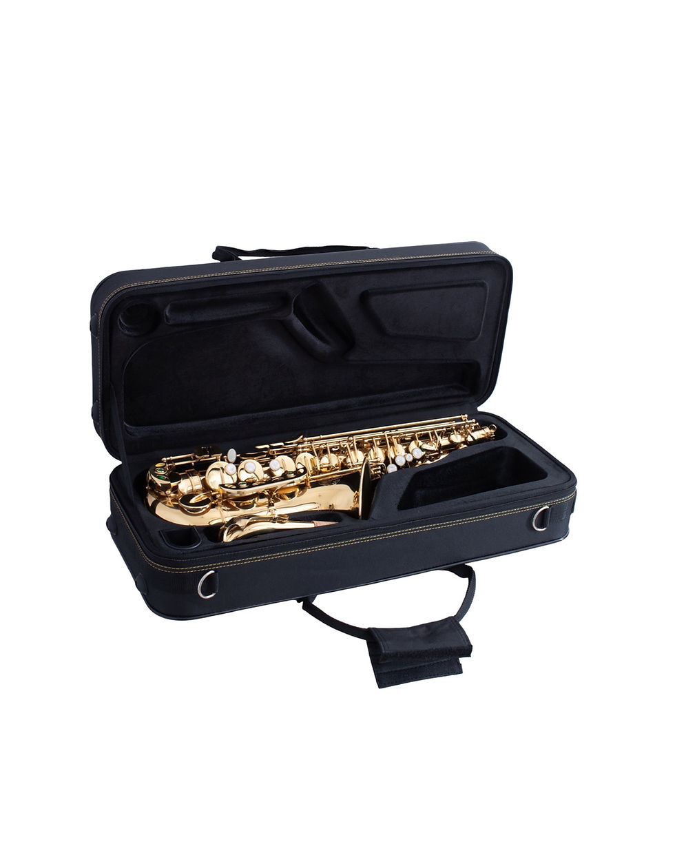 Thumbnail: SL A-802GL Gold Lacquered Alto Saxophone