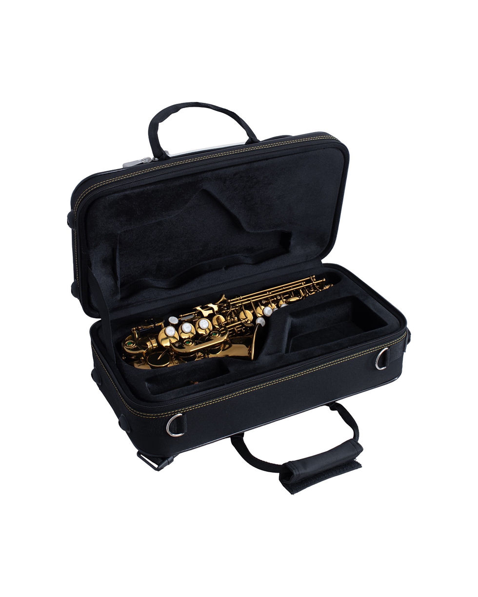 Thumbnail: SL SC-920CO Student Curved Soprano Saxophone Case