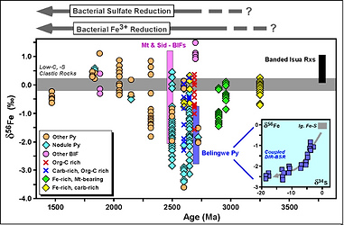 Fig. 1_BIFs.png