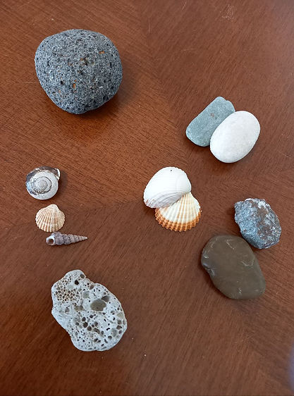 Muscheln und Steine