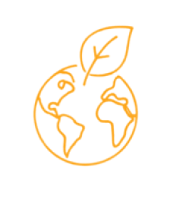 Frame 2134284495.png