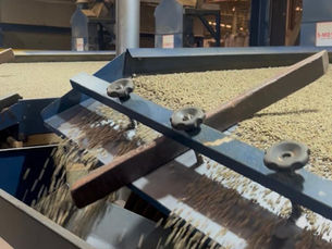#031 - The Battle for the Clean Cup: Why Post-Harvest Tech is the New Frontier in Coffee Sourcing