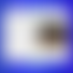 100 years strong at Geelong Central Netball Association