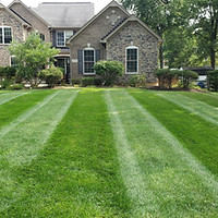 20200916_124155.jpg