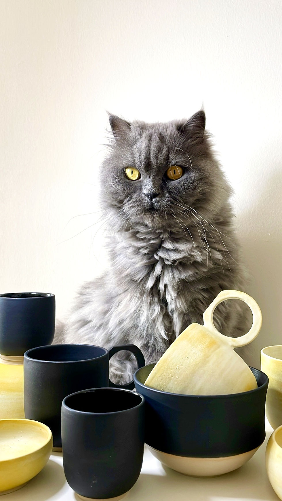 Miniature : Mug