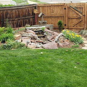 Resized_20190527_142041.jpeg