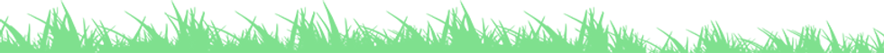 promo-shap2.png