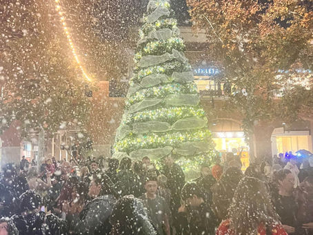 ❄️ Winter Wonderland Mini Sessions Are Back!