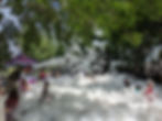 PXL_20230609_132306135.MP.jpg