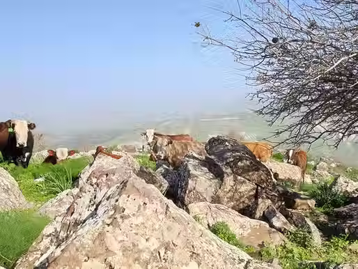 מסלולי אופניים מומלצים לרוכבים מתחילים, קבוצות ומשפחות בדרום השרון וחבל מודיעין
