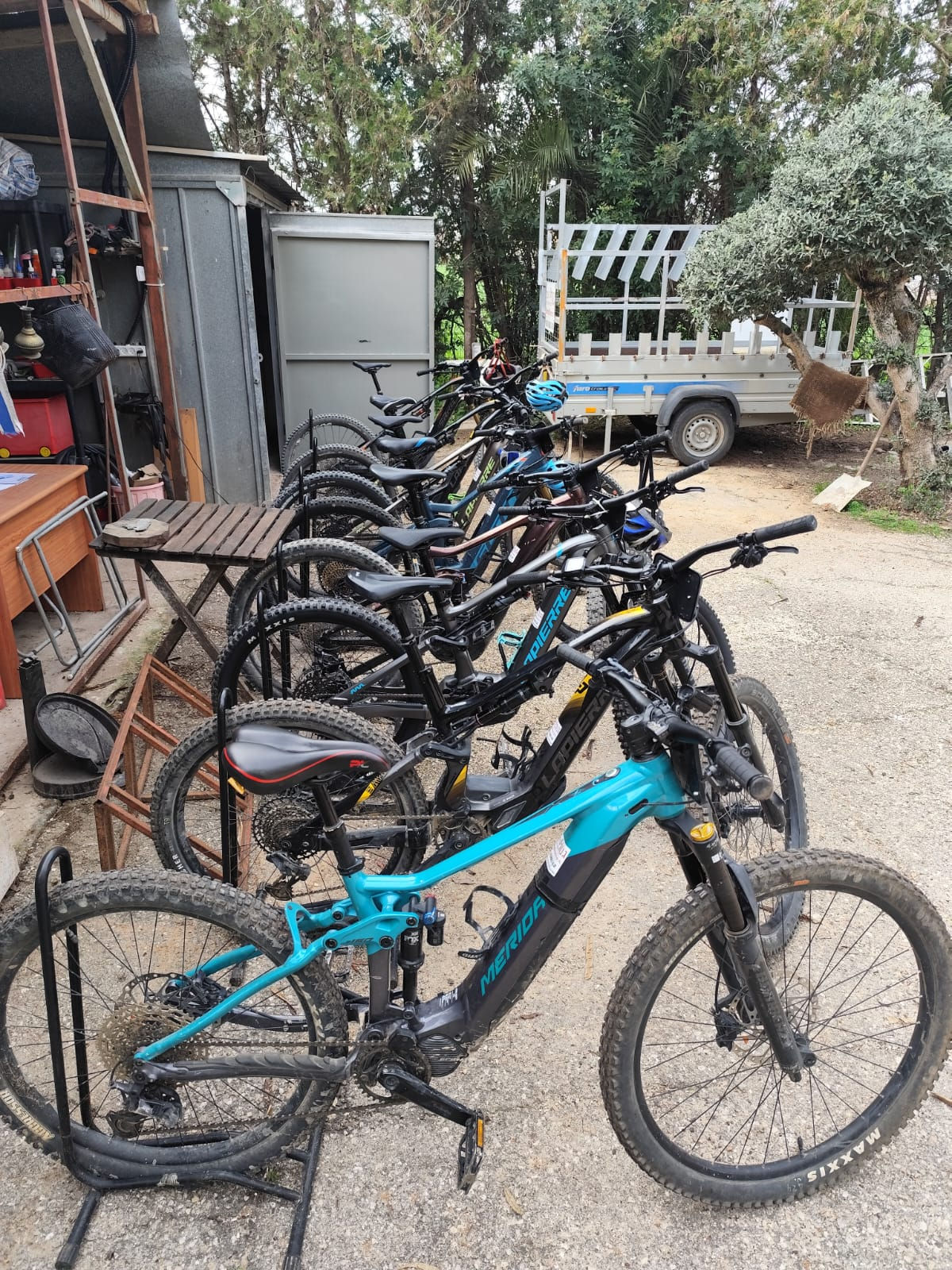 השכרת אופני שטח חשמליים