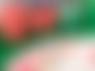 Hướng dẫn cách chơi poker gần như chi tiết