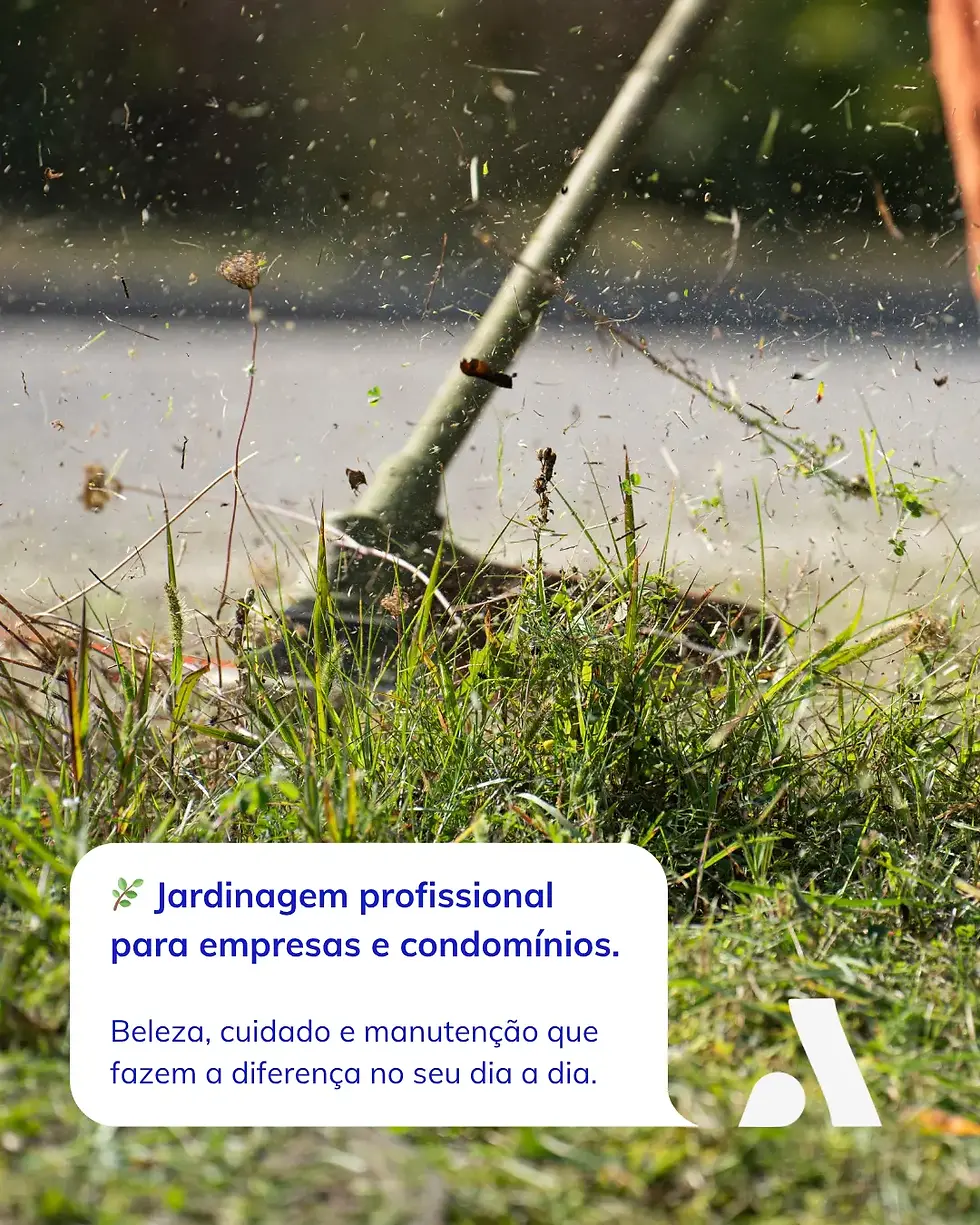 POSTS COMITE.webp