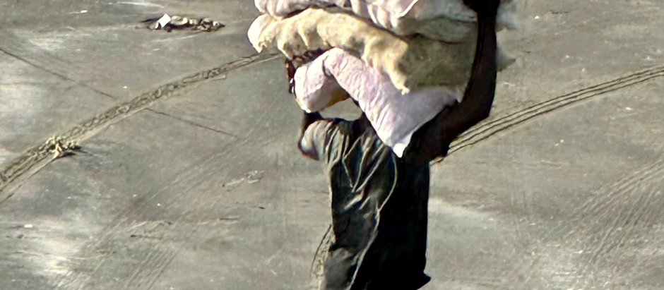 On your HEAD competition