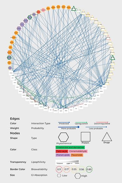 Visualization.png