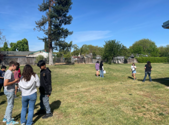 Bringing Science to Life: Student Voices, Data, and Pollinator Action