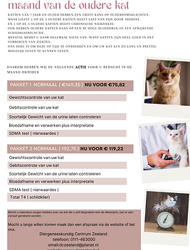 maand van de oudere kat nieuw.png