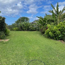 IMG_0742.jpeg