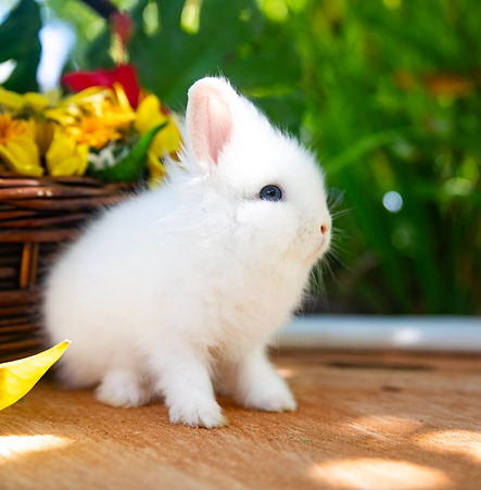 Copy of 15-569A9185.jpg