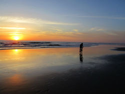 Playa de El Palmar