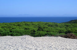 Bolonia (Cádiz)