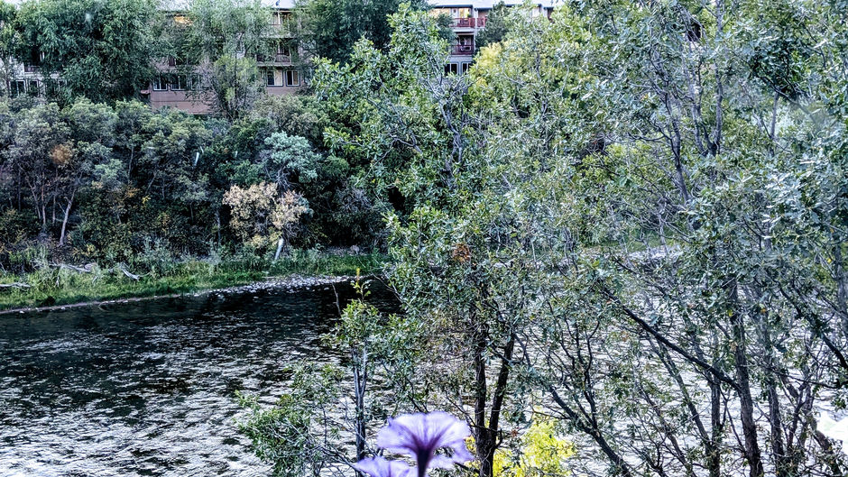 Dinner at Rivers- Glenwood Springs-Co