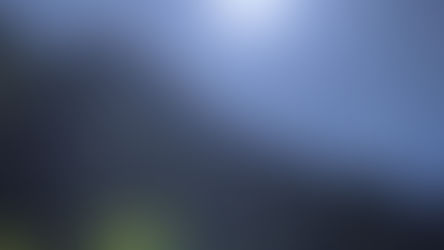 Cont. Trails