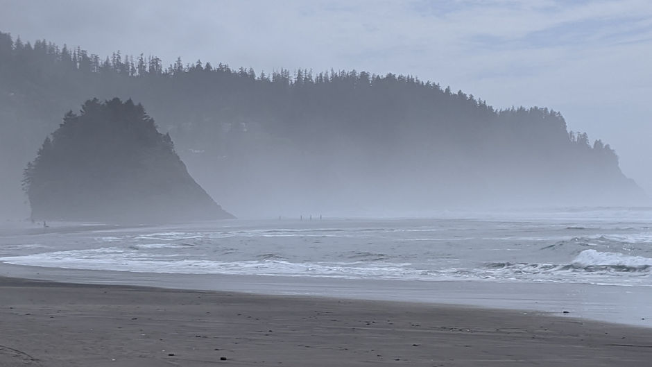 Proposal Rock with 2000 year old "Ghost Forest" Neskowin-OR