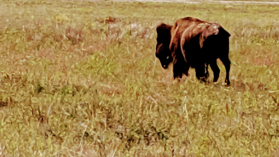 Niobrara National Scenic River-Valentine-NE