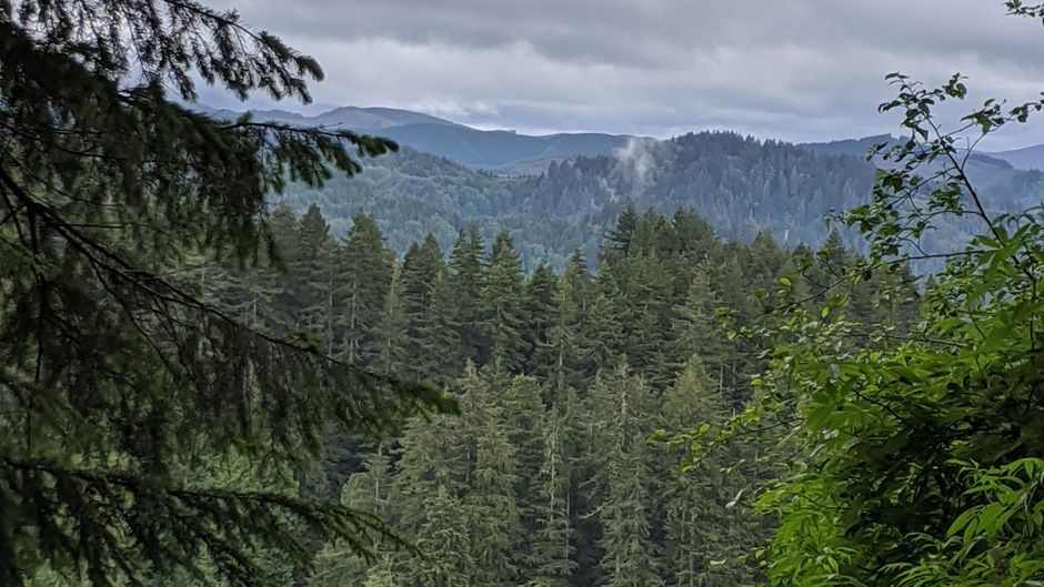Silver Falls State Park-Sublimity OR