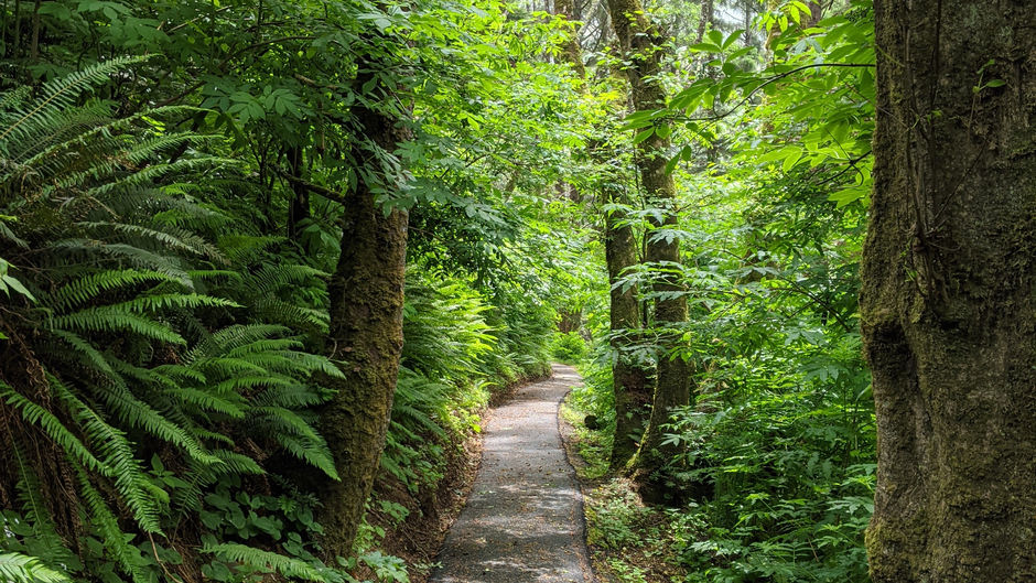 Devils Churn-Siuslaw National Forest