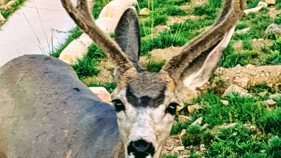 Day One-Estes Park Evening