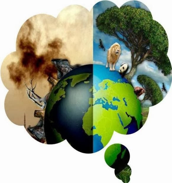 Las consecuencias de no cuidar el medio ambiente