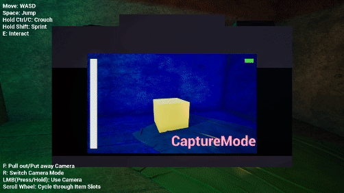 OriginalCameraItemMode.gif