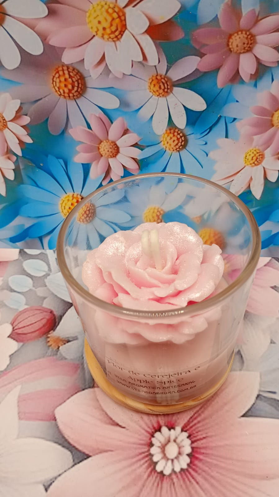 Miniatura: Vela Rosa