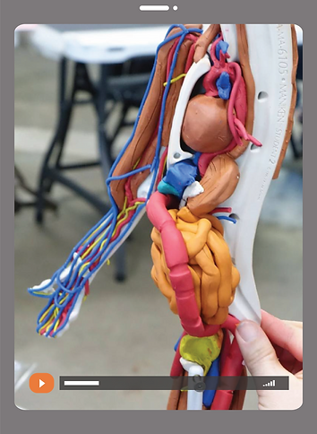 iPad PD Model.png