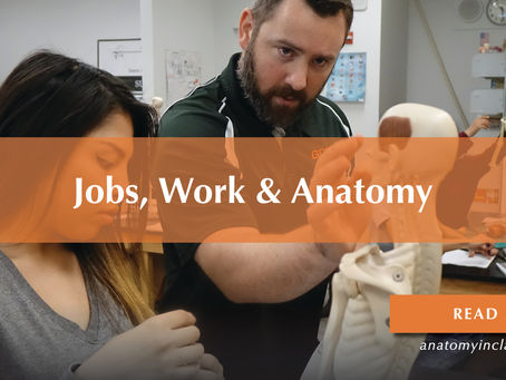 Jobs, Work & Anatomy