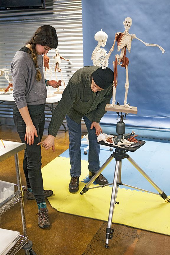 MANIKEN® Classic 3 ANATOMY IN CLAY® Learning System