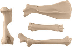 EQUIKEN® OSTIKEN™ Pectoral Set