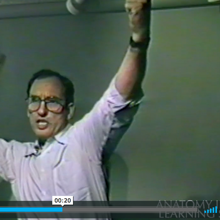 Brachiators - Arm Travelers