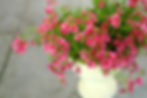 Creative summer containers