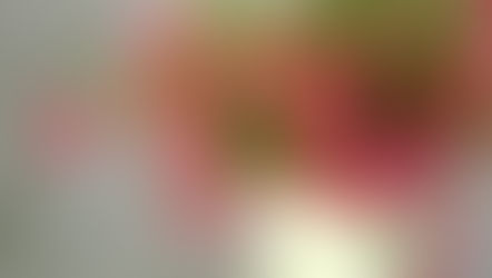 Gerten's Flower Fundraiser!