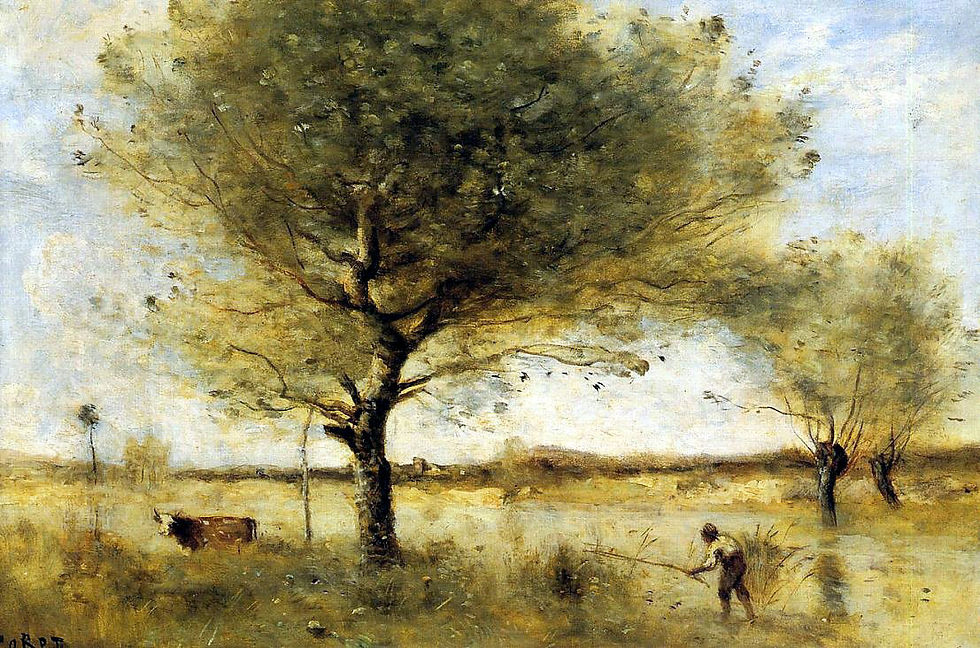 étang_avec_grands_arbres