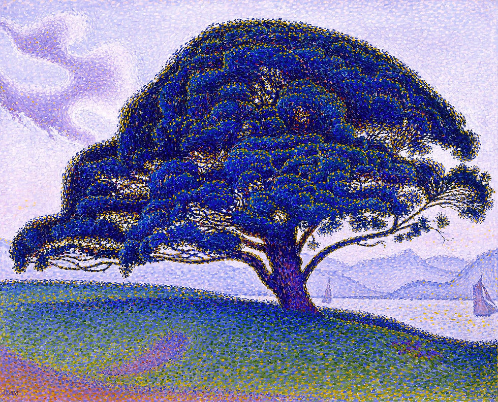 The Bonaventure Pine.1893