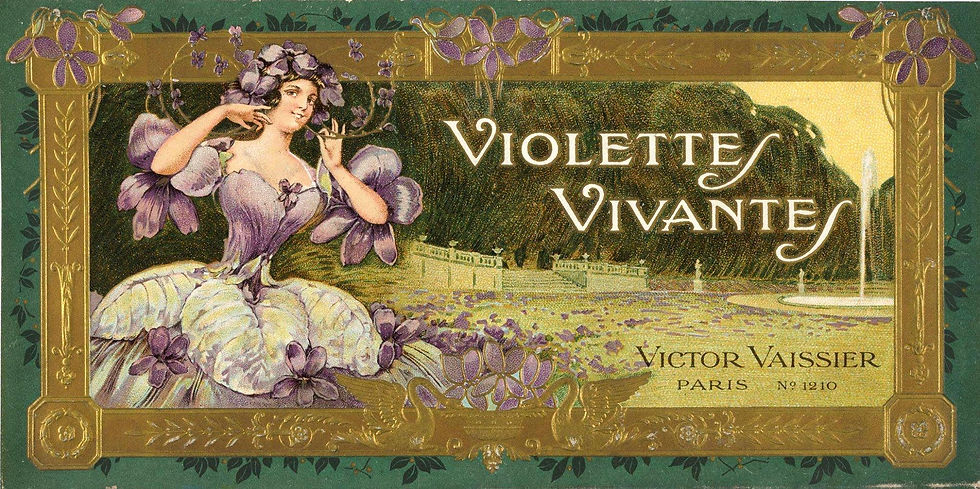 Violettes Vivantes