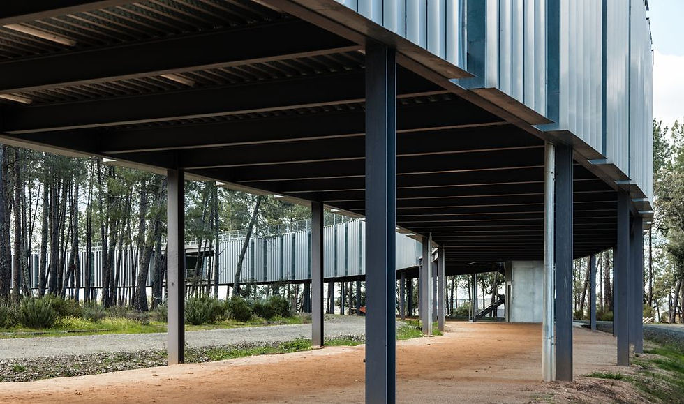 Center for Sports innovat